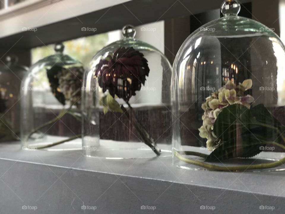 Jar Flower