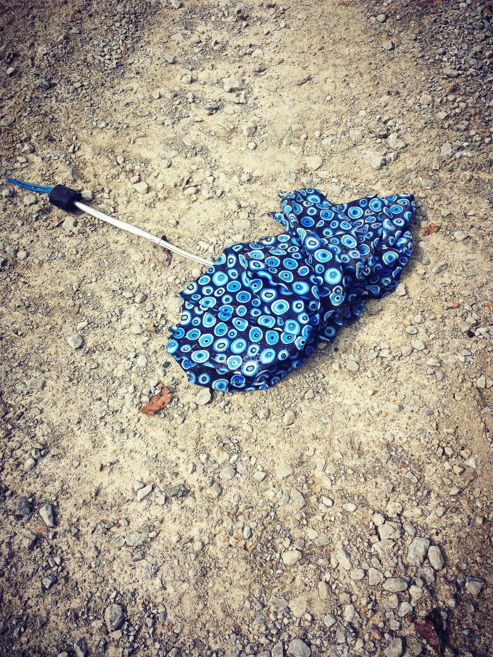 lost & found umbrella