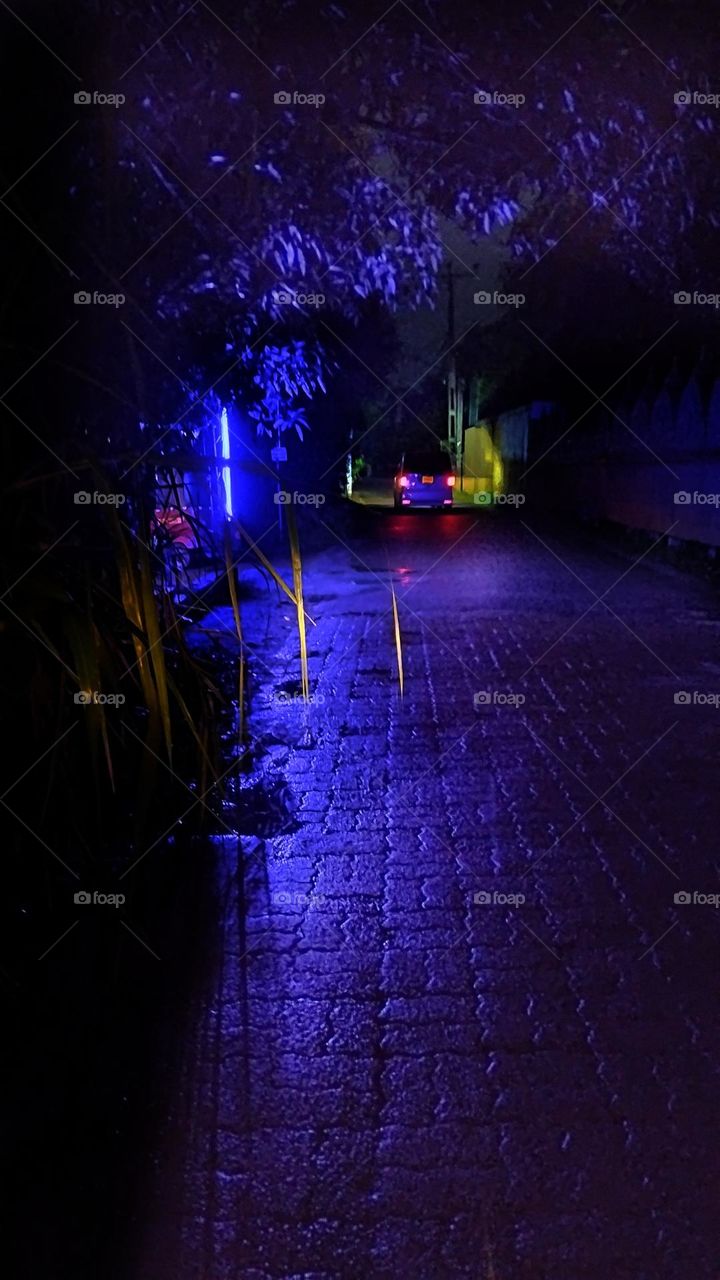 night view of a road