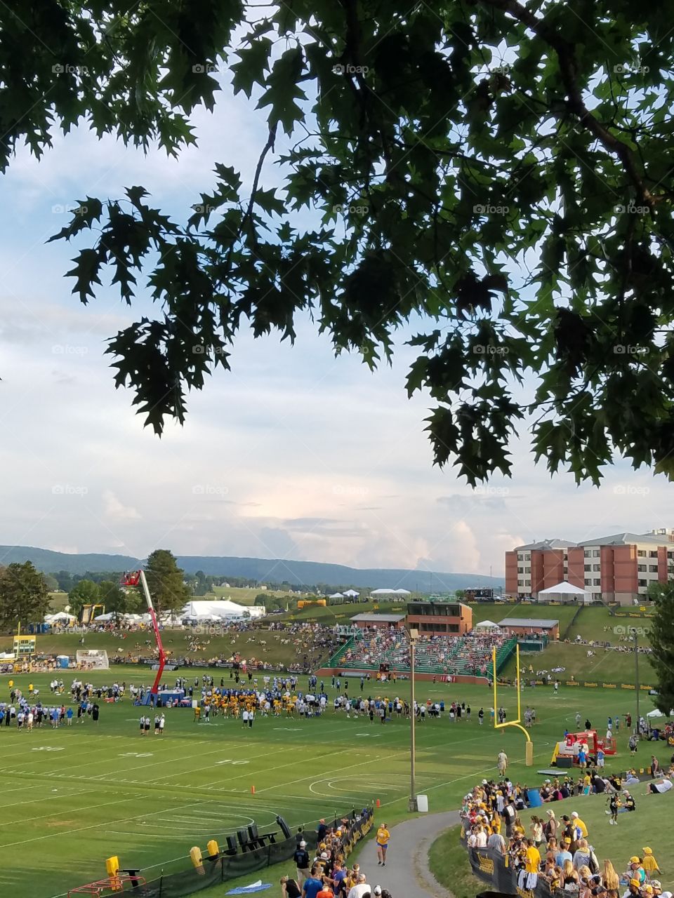 practice between the Steelers and the Lions