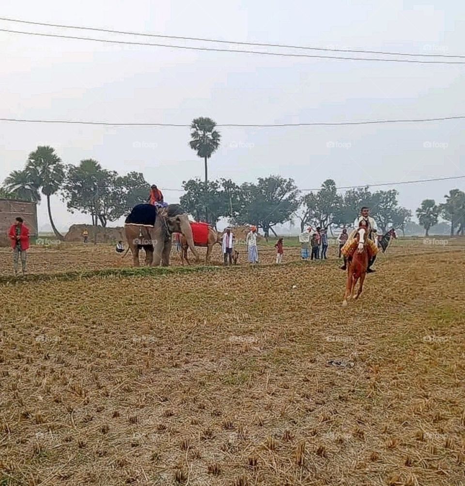 A most beautiful and attractive view in the farm.