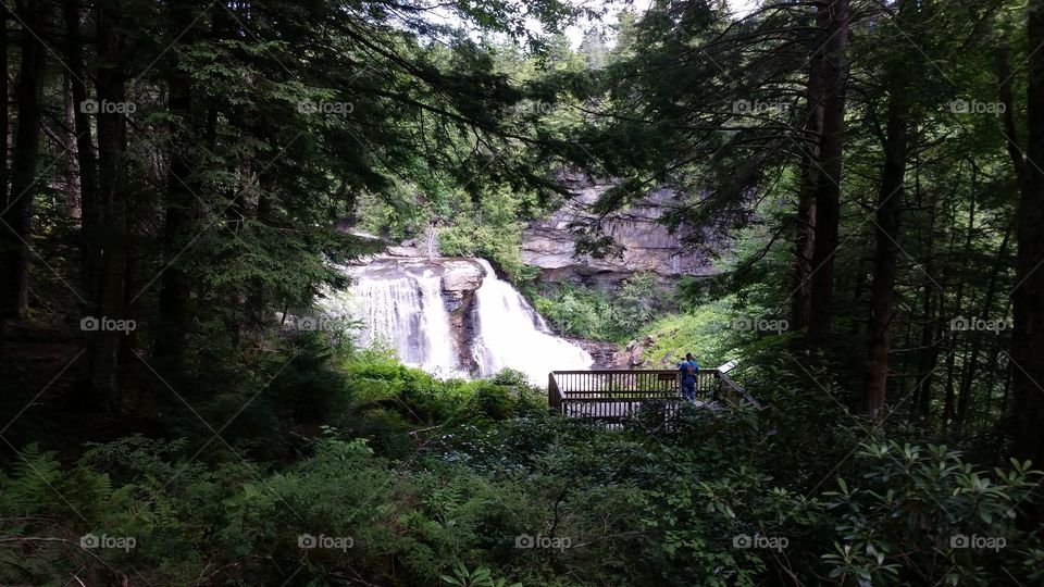 Blackwater Falls