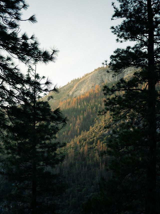 Some body like it nature photo