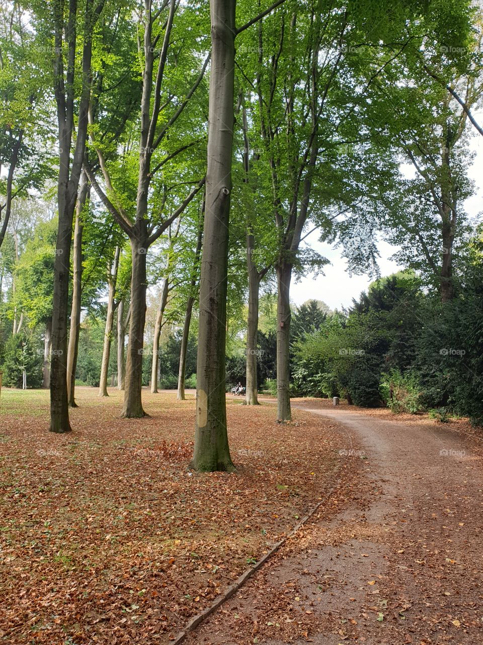 düsseldorf park