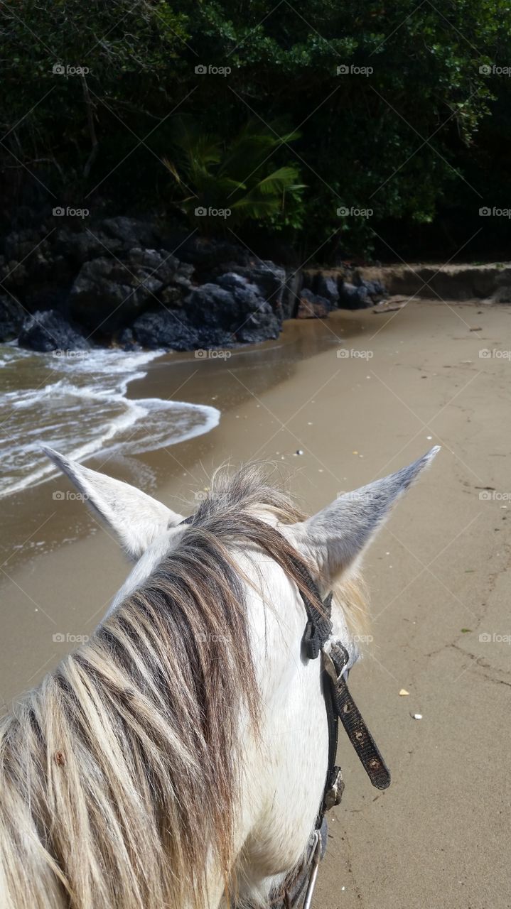 Horseback on the beach!