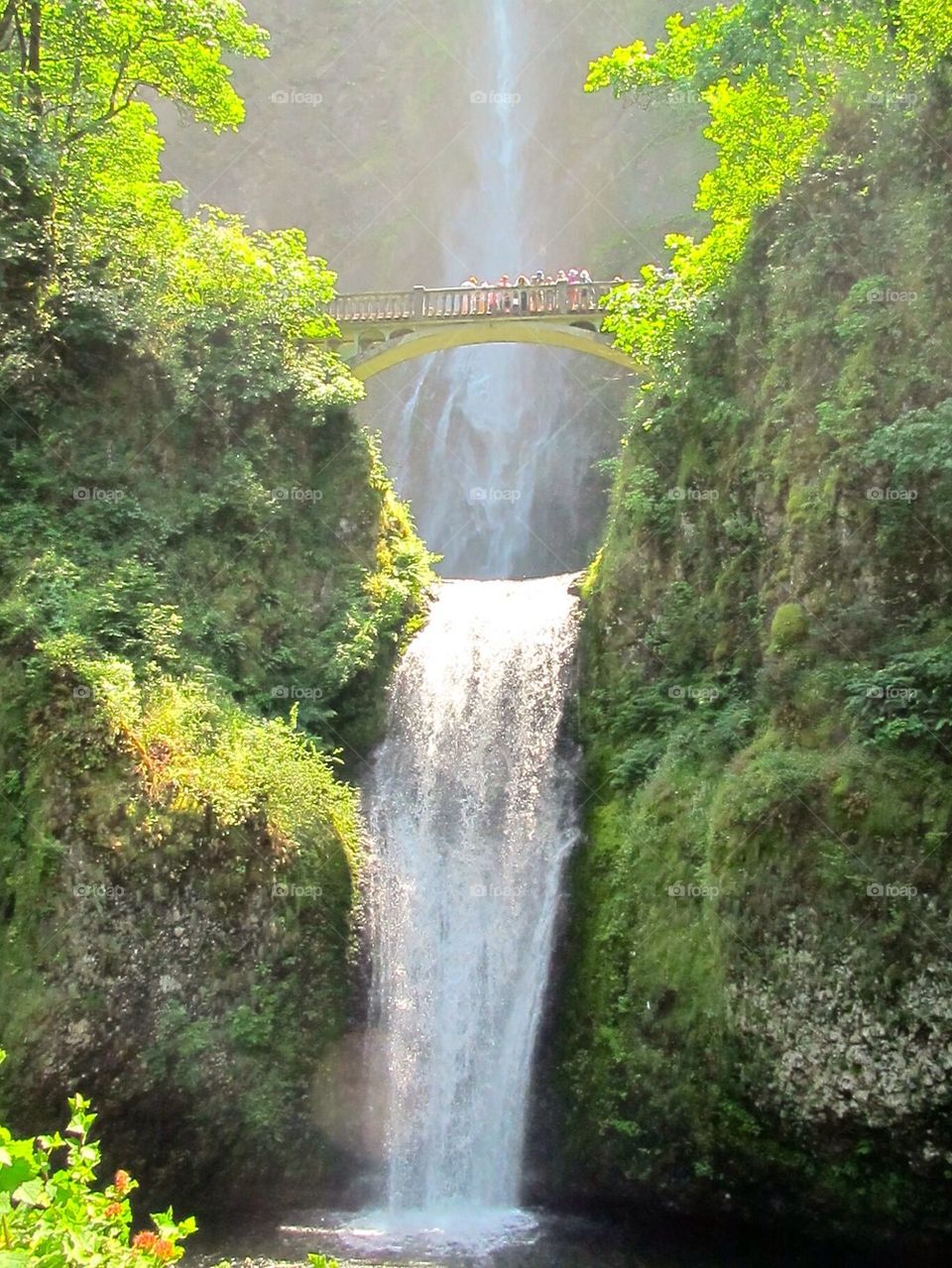 Multnomah Falls 