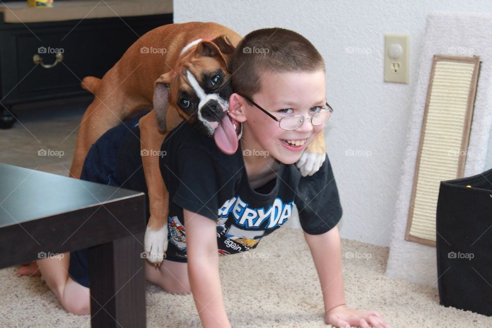 Boxer and boy