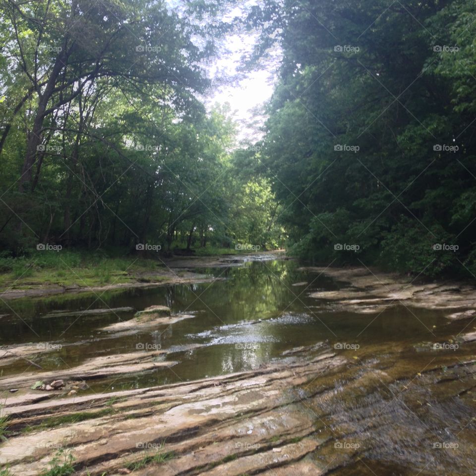 Creek. The perfect Creek Landscape 