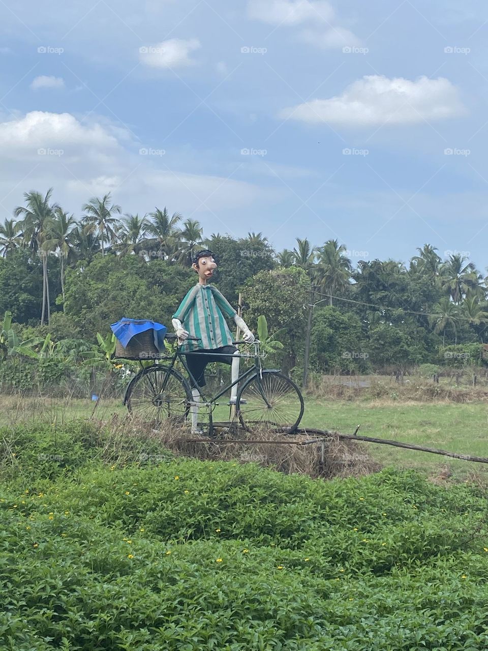 Welcome to bastora goa 