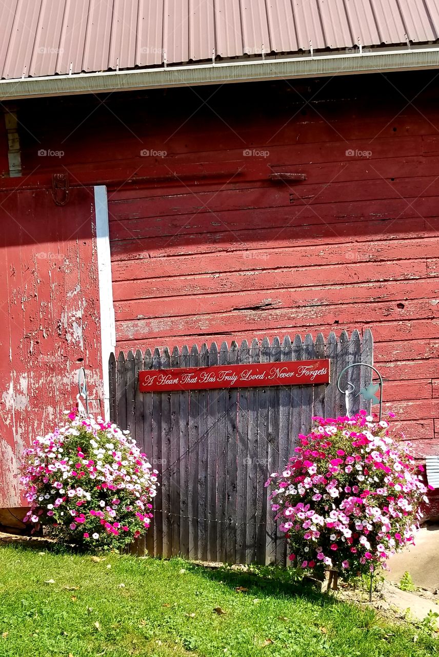Red barn with fence and flower's