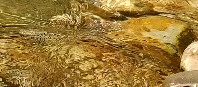 Golden waters