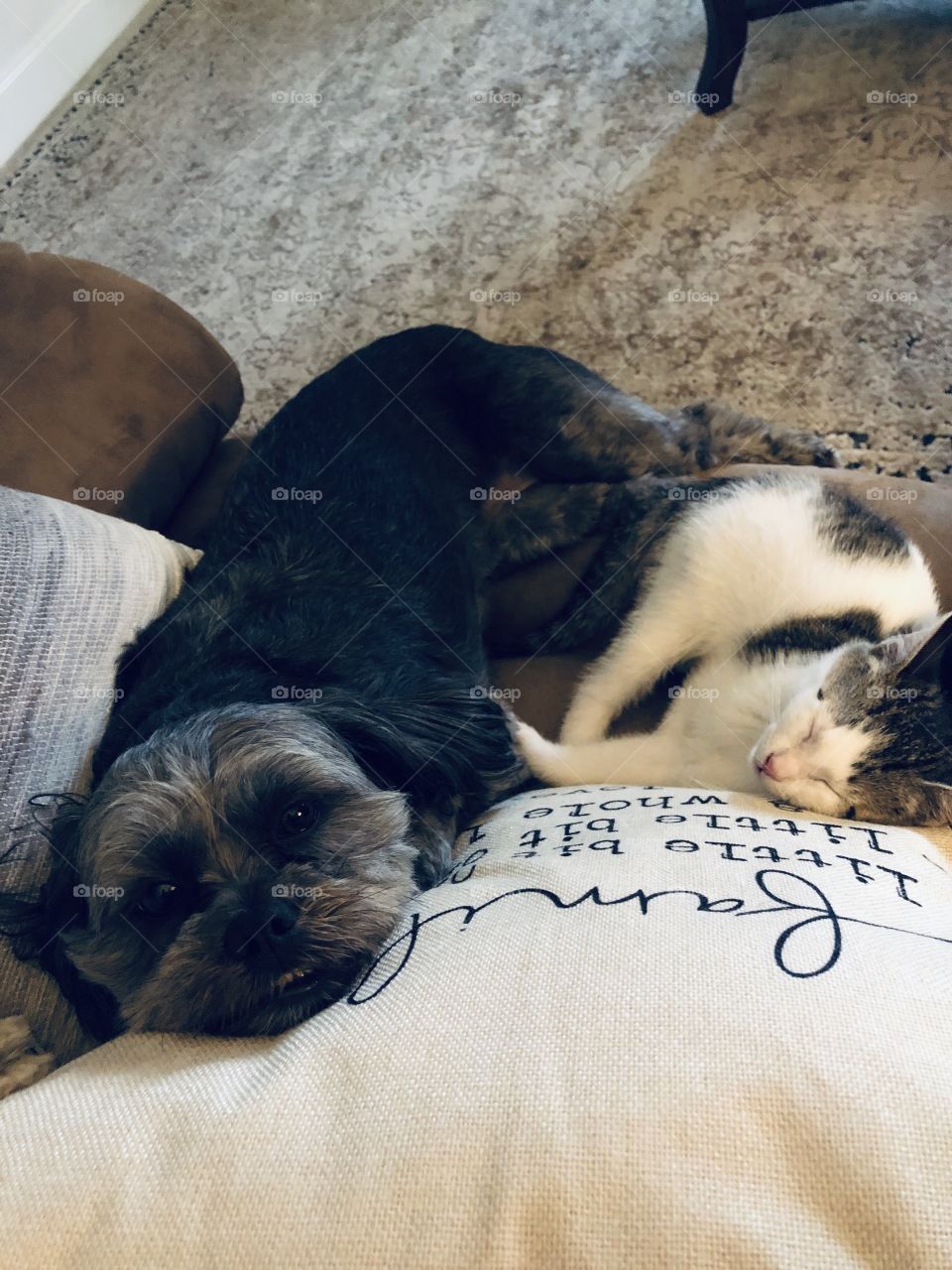 Sisterly love is unexplainable.