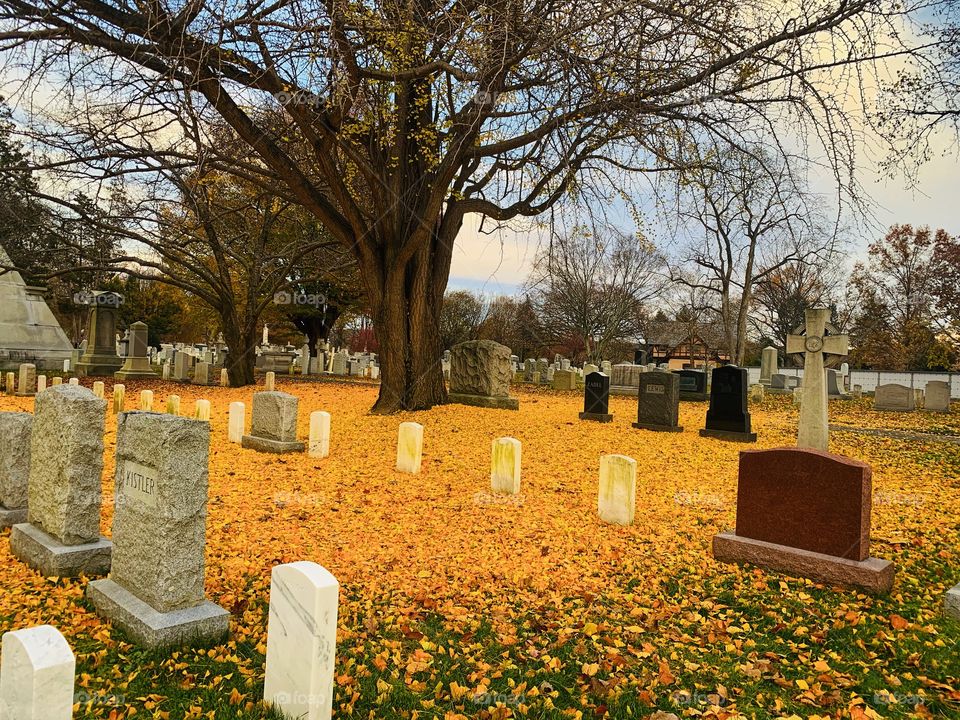 West point cemetery 