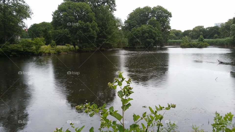 Water, River, Lake, Tree, No Person