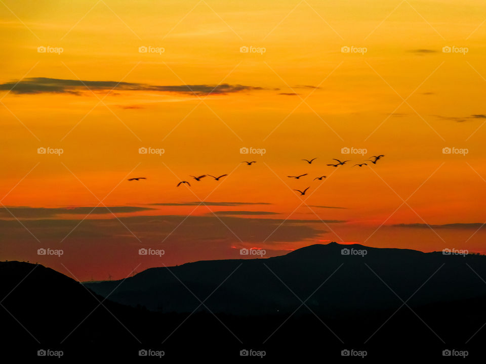 After sunset silhouette image - This is golden light looks when sun goes down behind the mountains or after sunset or dusk. Flock of birds also flying on that background.