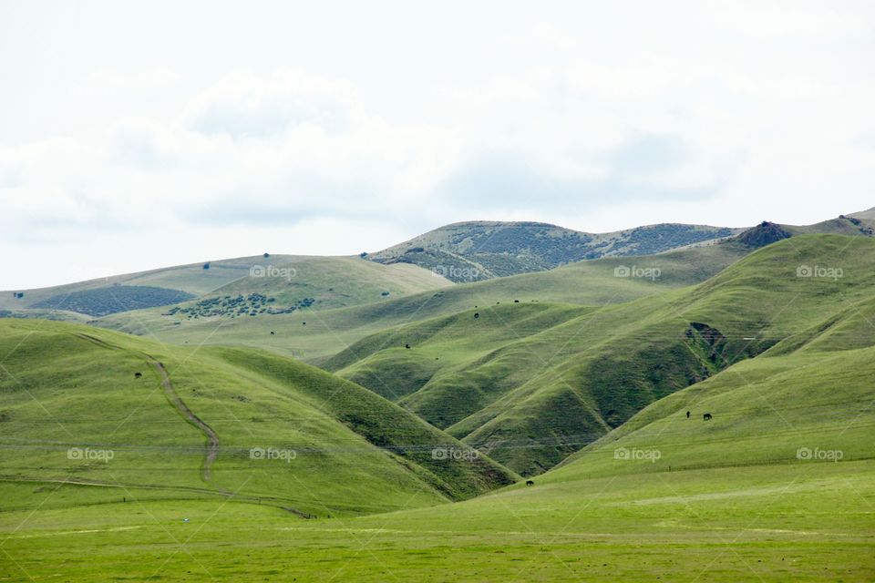 Spring landscape 