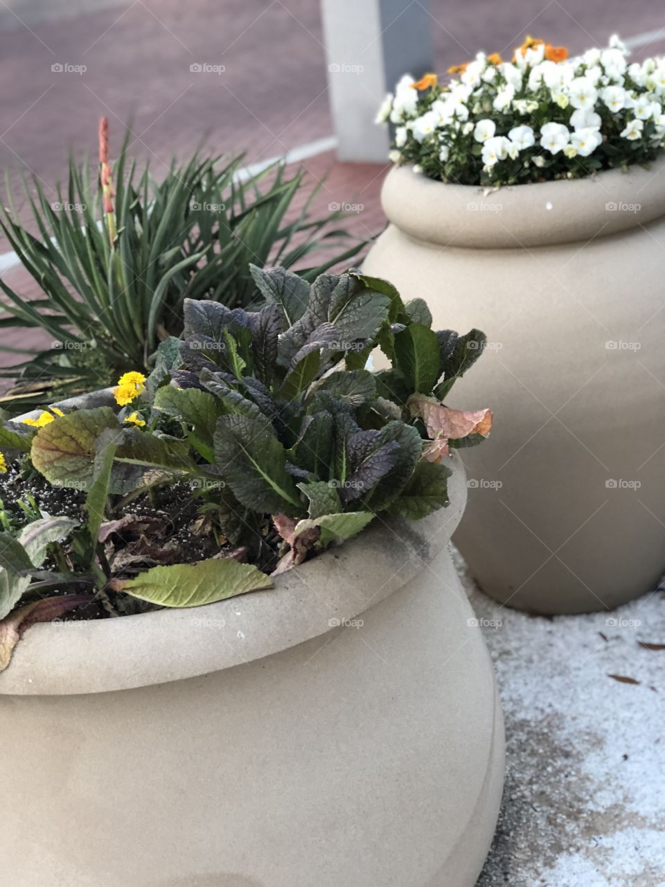 Flower pots at the market place
