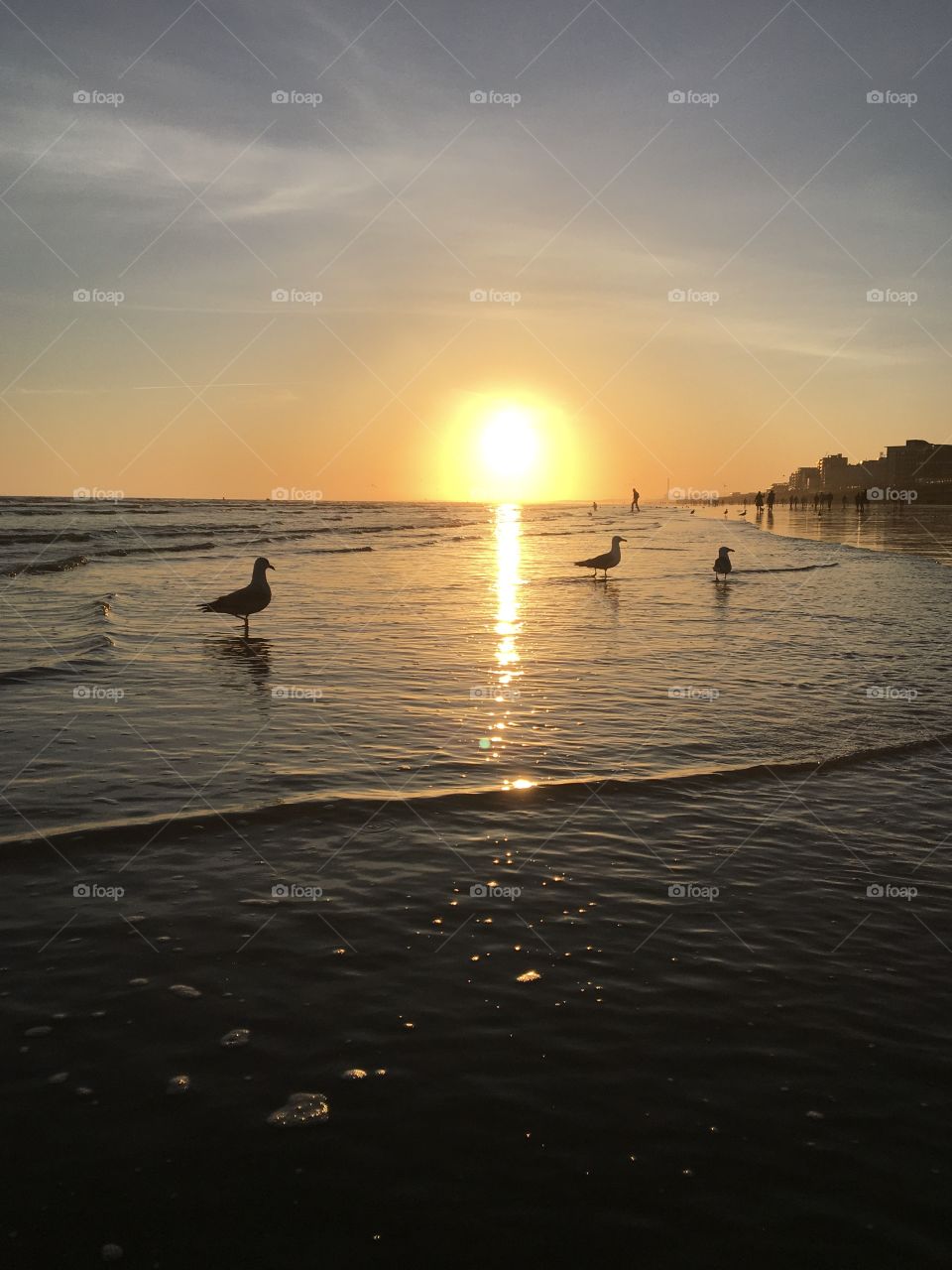 Everyone loves the 🌅