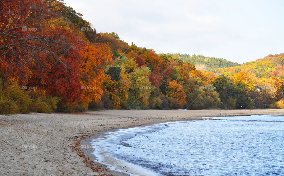 Colorful trees in autumn at beach