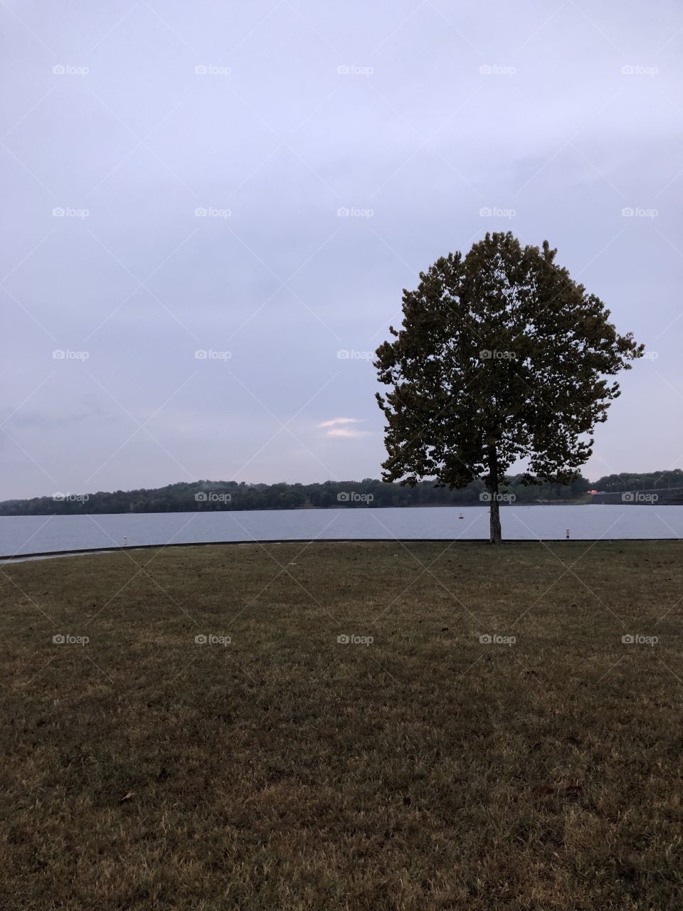 Landscape with lake in the background 