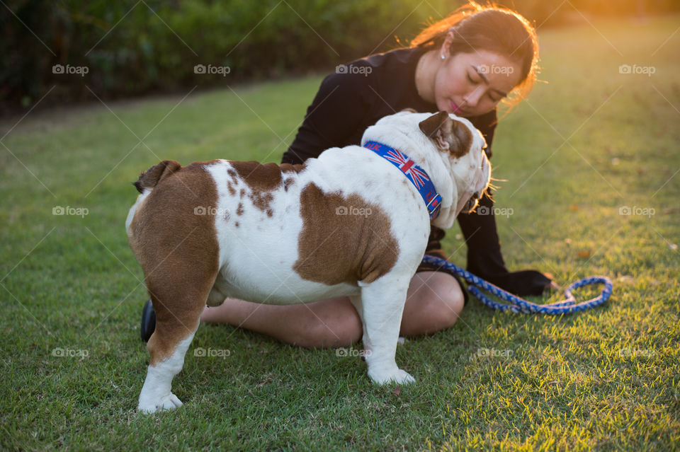 English bulldog stand and and woman sit on the grass