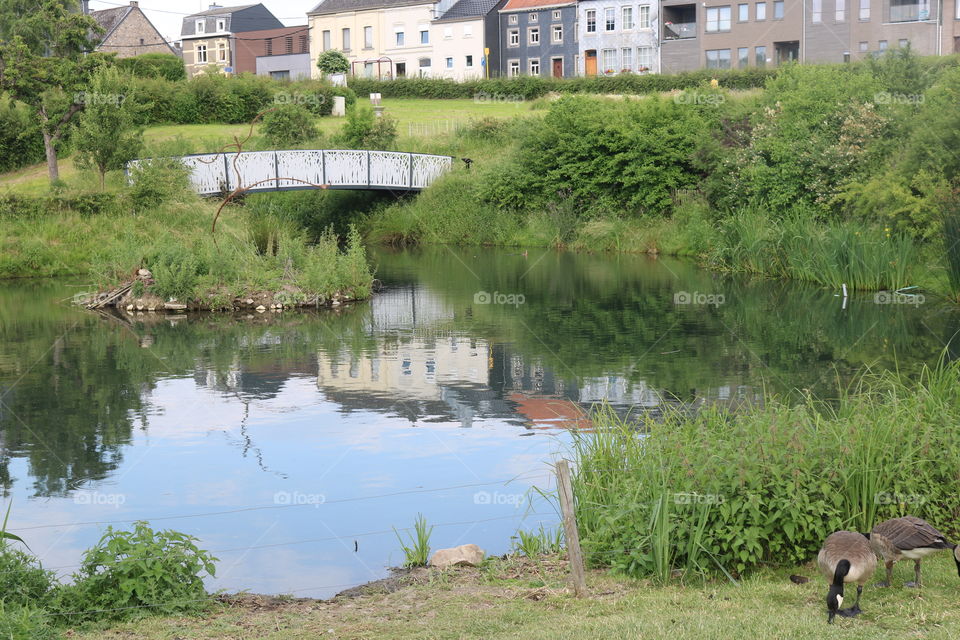 petit lac dans le parc de la comune