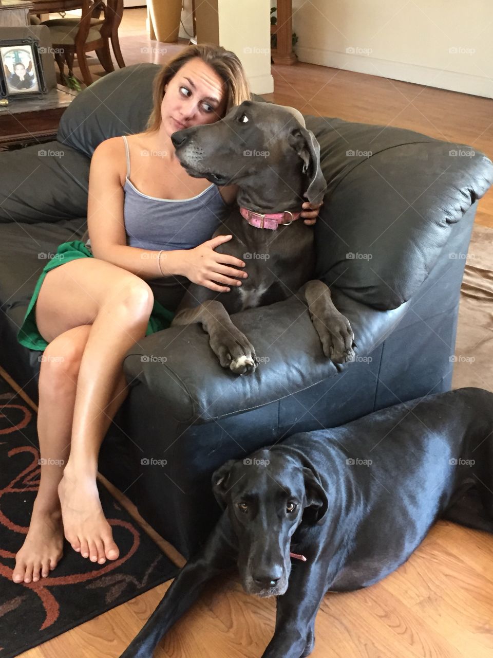 Woman sitting on sofa with black labrador dogs