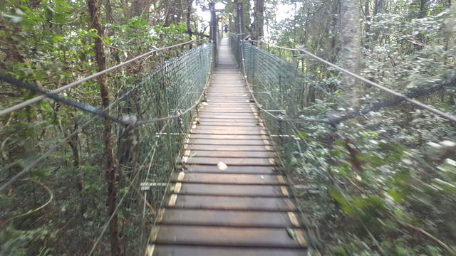 walking bridge