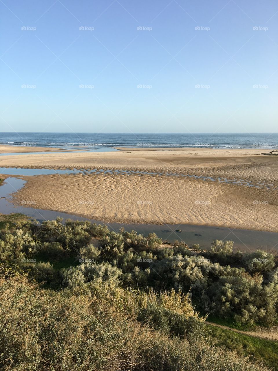 Seascape at low tide