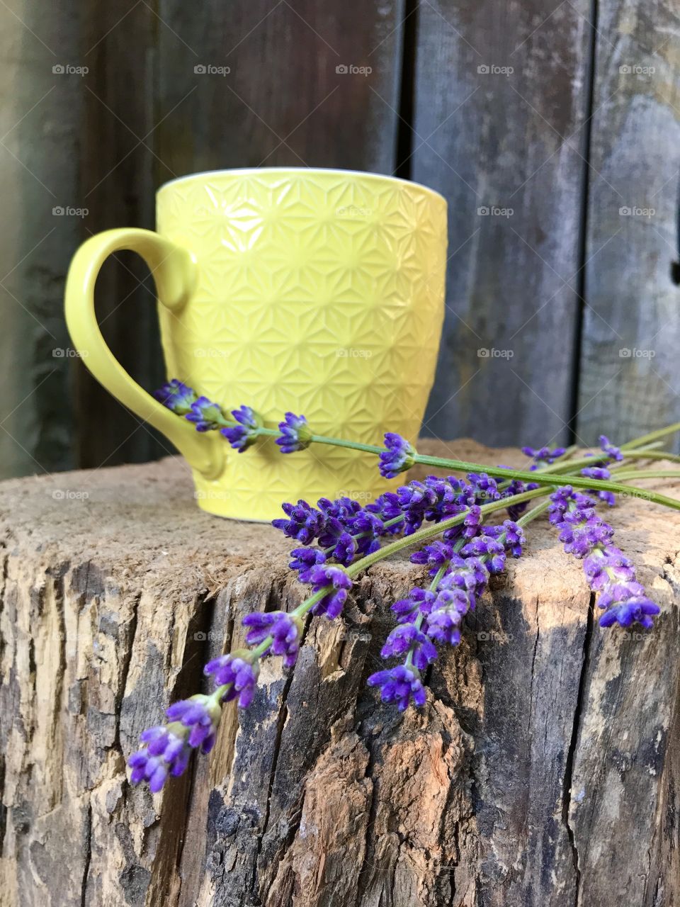 Yellow coffee mug/cup on the old log of wood with some purple lavender flowers laid out beside the cup.