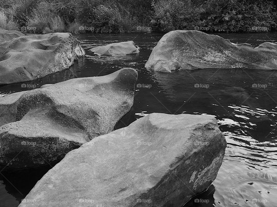 The serene Deschutes River in Central Oregon on a sunny summer day. 