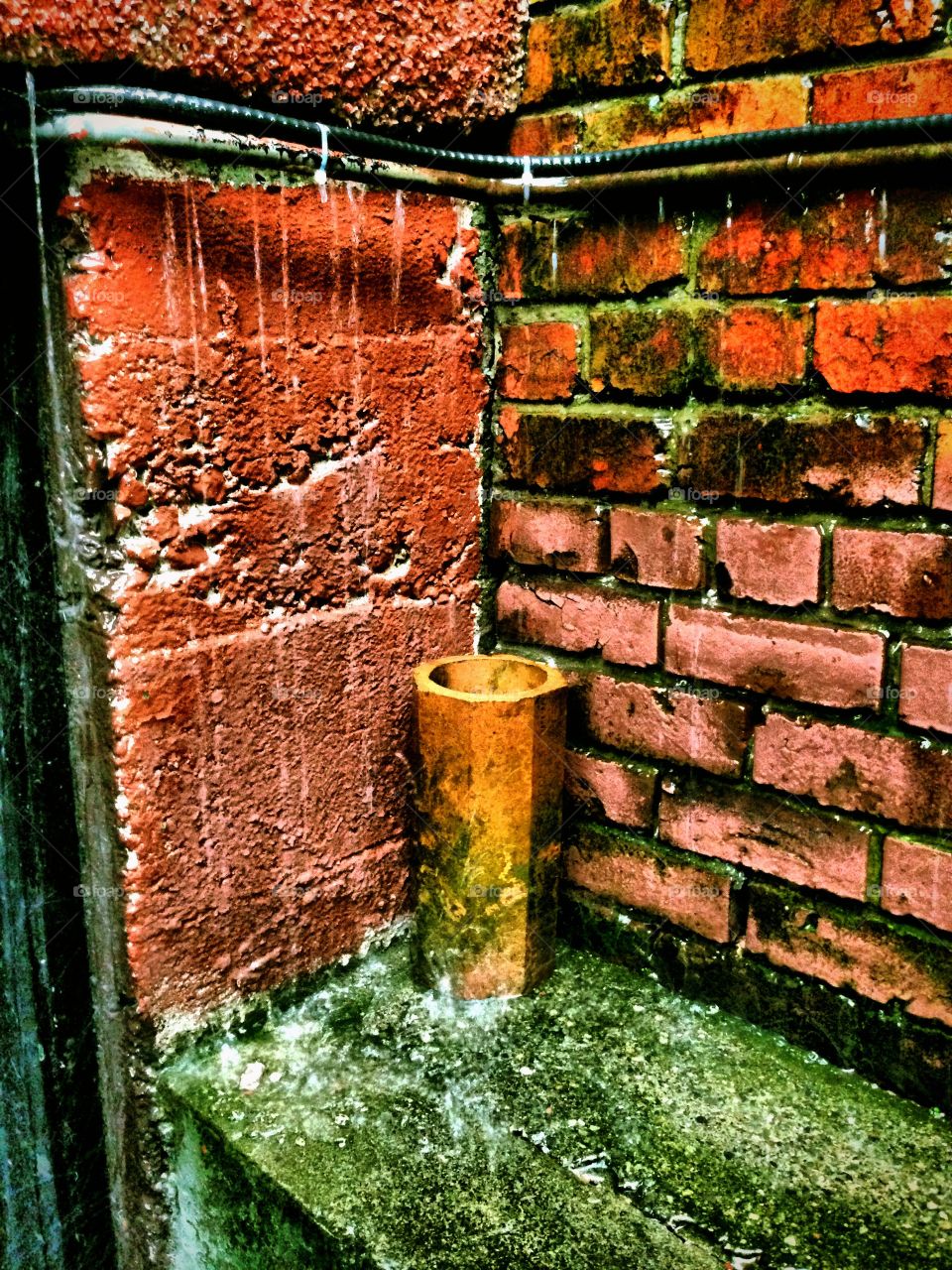 Spring time in Vancouver 