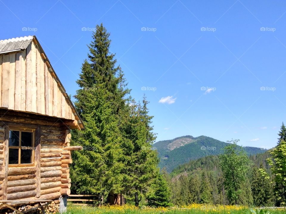 Carpathian mountains landscape