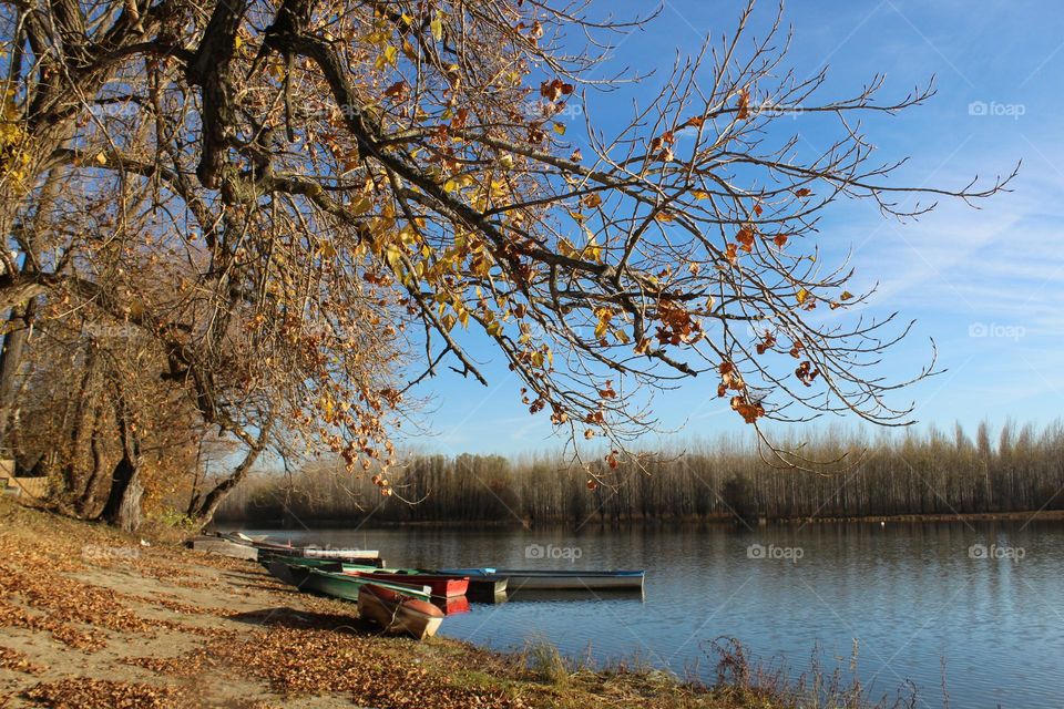 Autumn/fall colors of the swan lake 