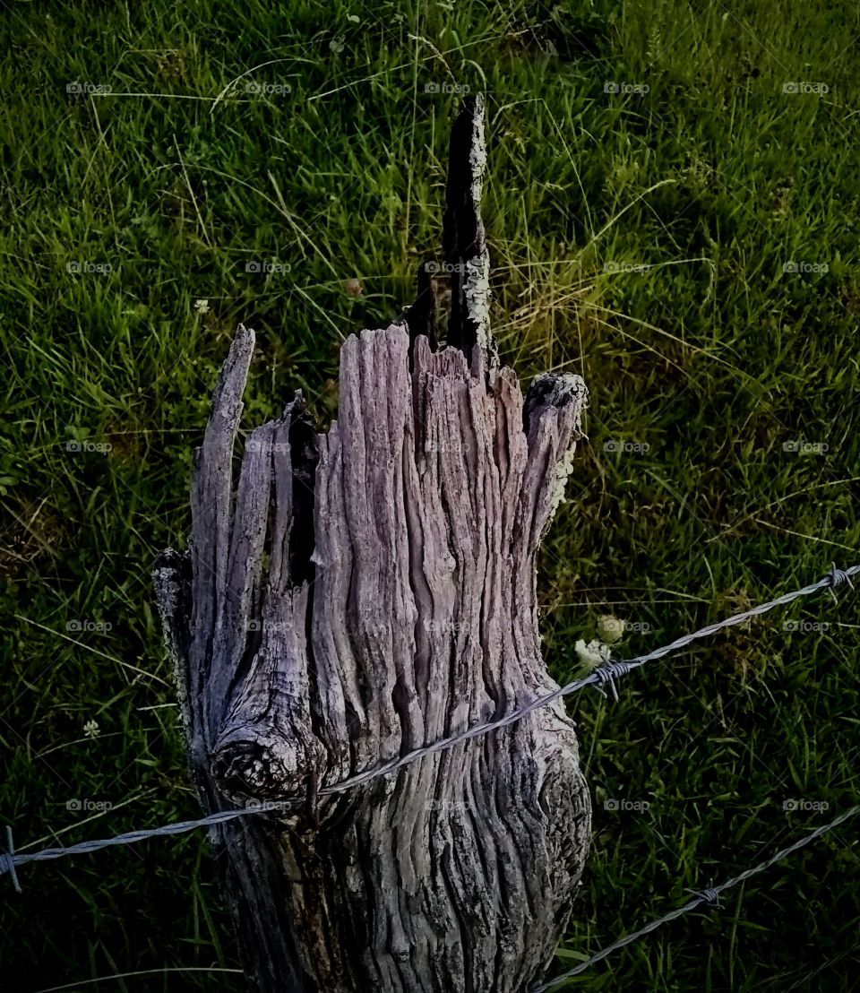 Fences from decades gone by