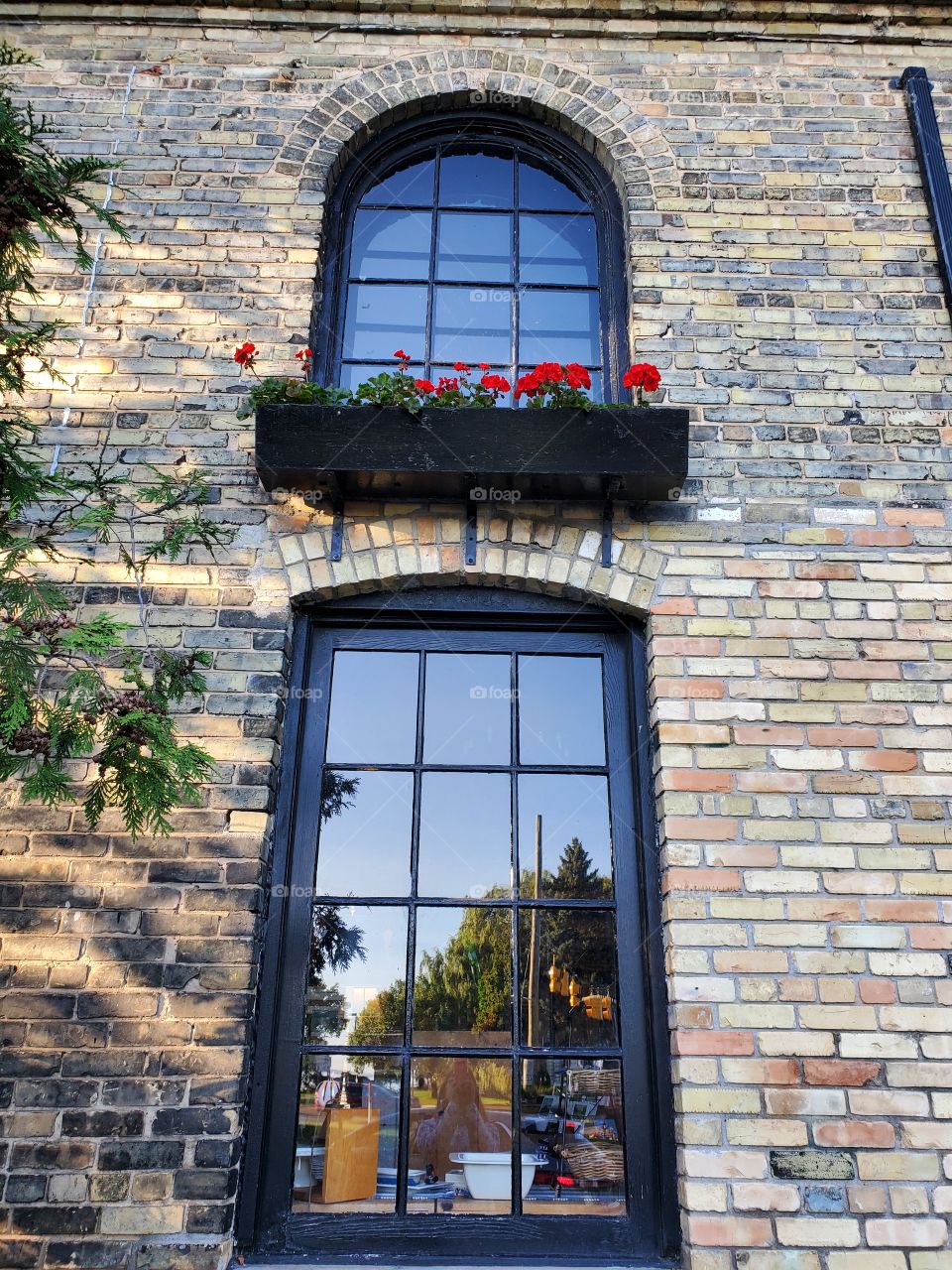 Traverse City window