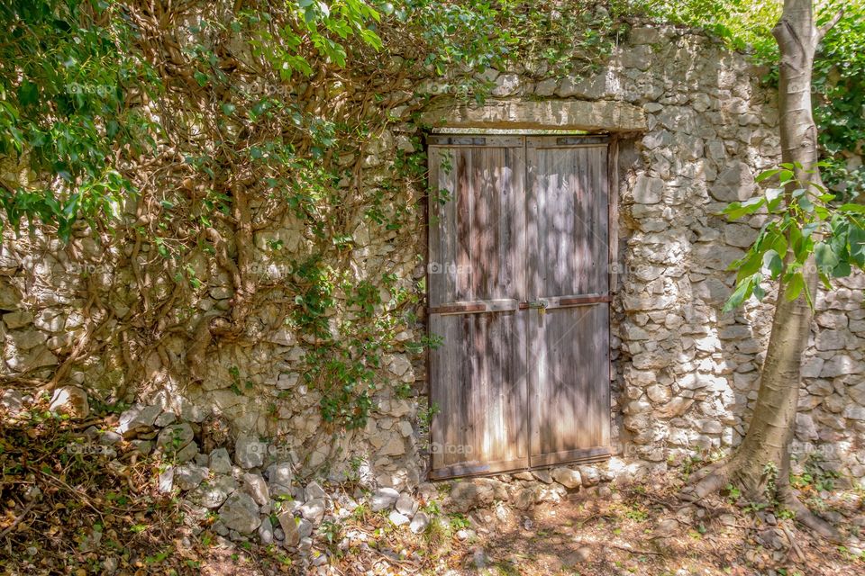 Old Door