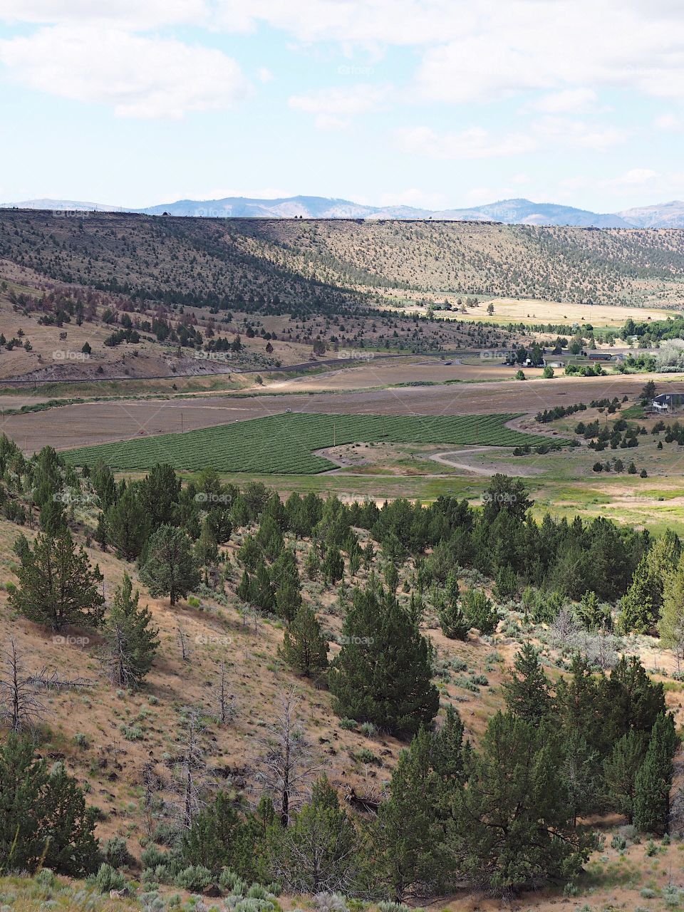 A view down hills into the farming valley and the small rural community of Gateway in Central Oregon on a sunny summer  day. 