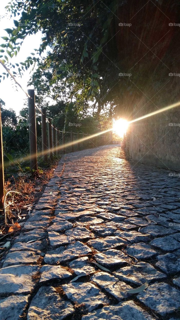 Coimbra Portugal path at sunset
