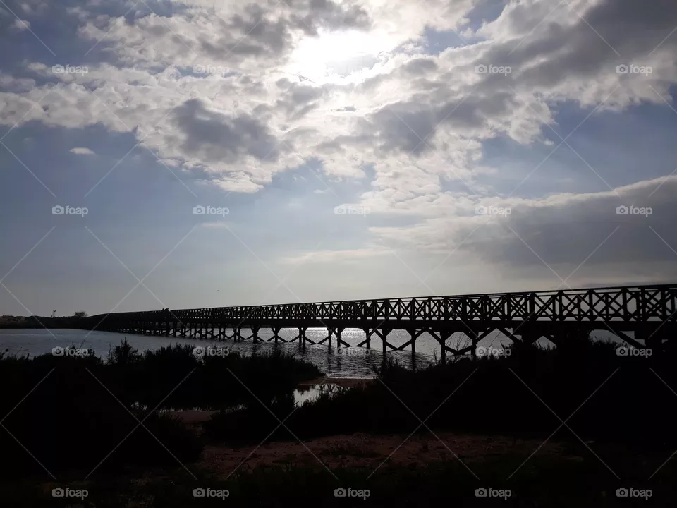 Bridge Perspective
