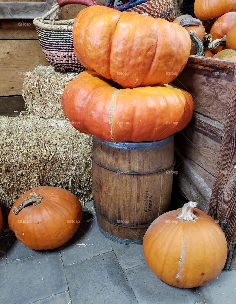Two large flat orange pumpkins stacked on a wooden barrel with hay bales and woven baskets for a nice holiday display.