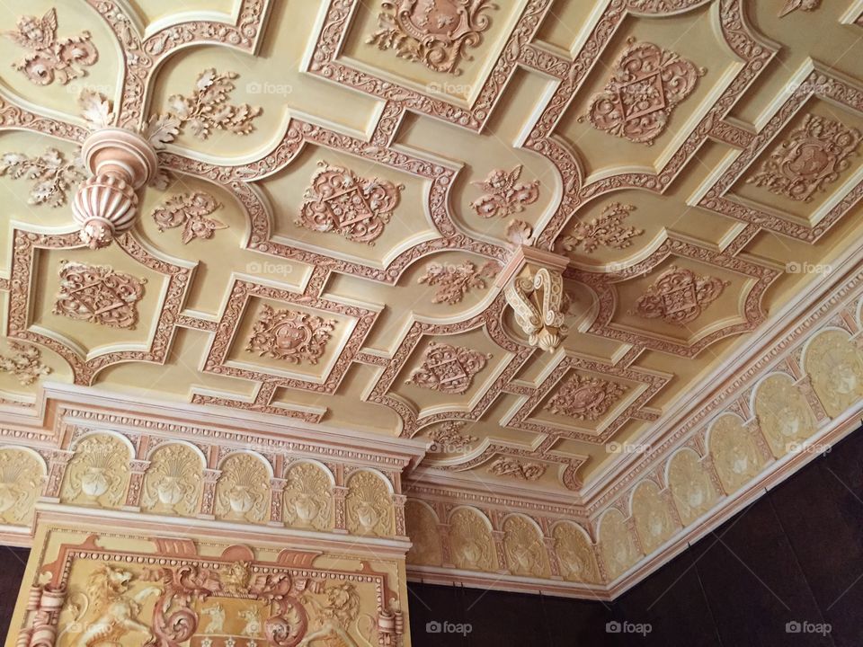 Beautiful Carved Ceiling