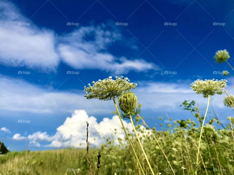 Oklahoma 