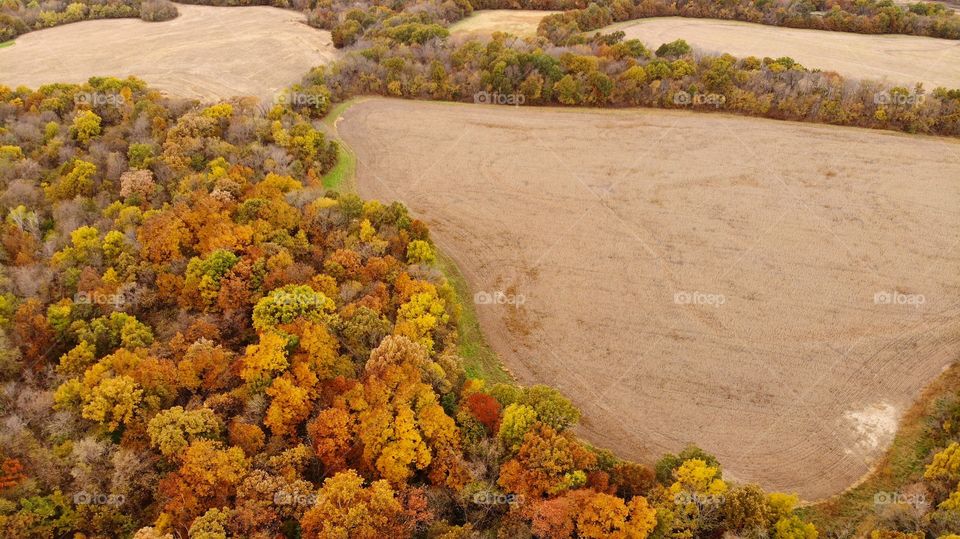 Brilliant autumn colors above the tree tops during fall.