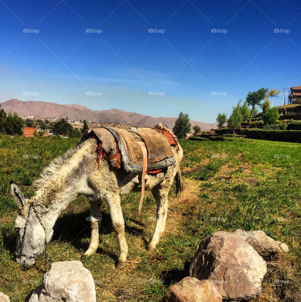 Beautiful view in Arequipa, Peru