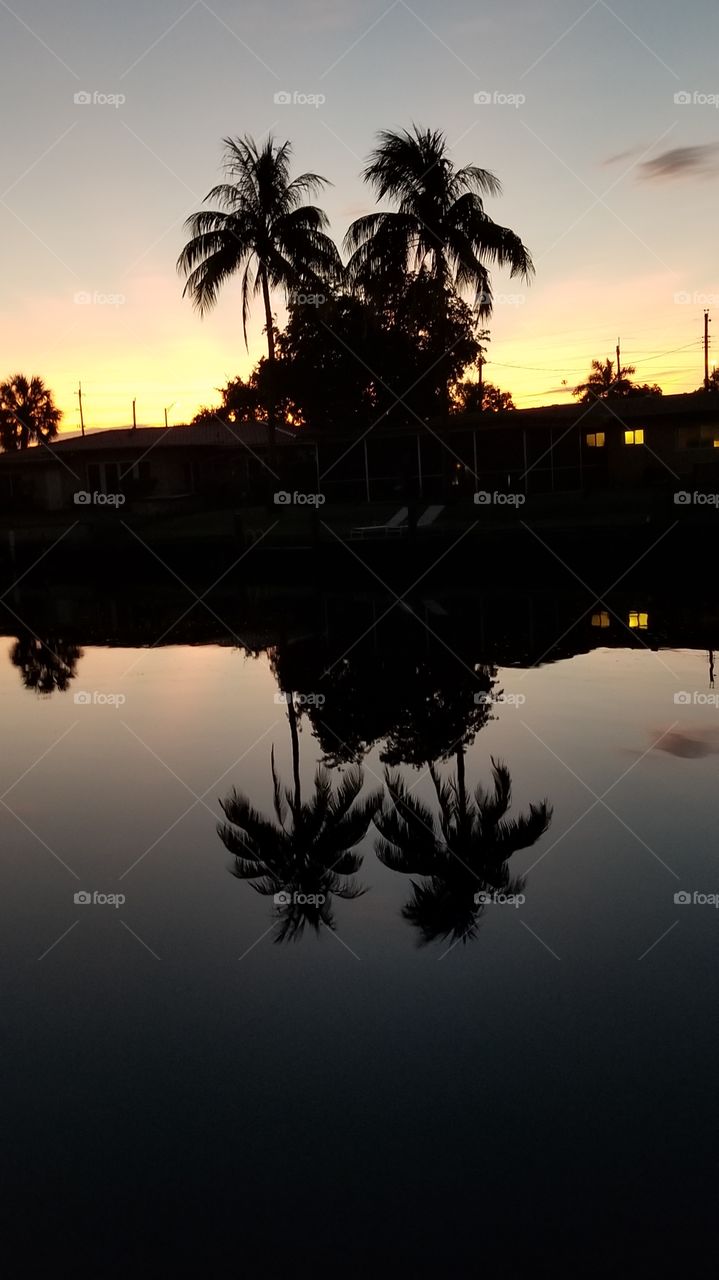 palm trees, sunrise, reflected on the Middle River in Wilton Manors, Florida, August 2019