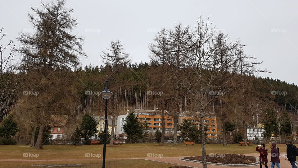 Titisee, Germany