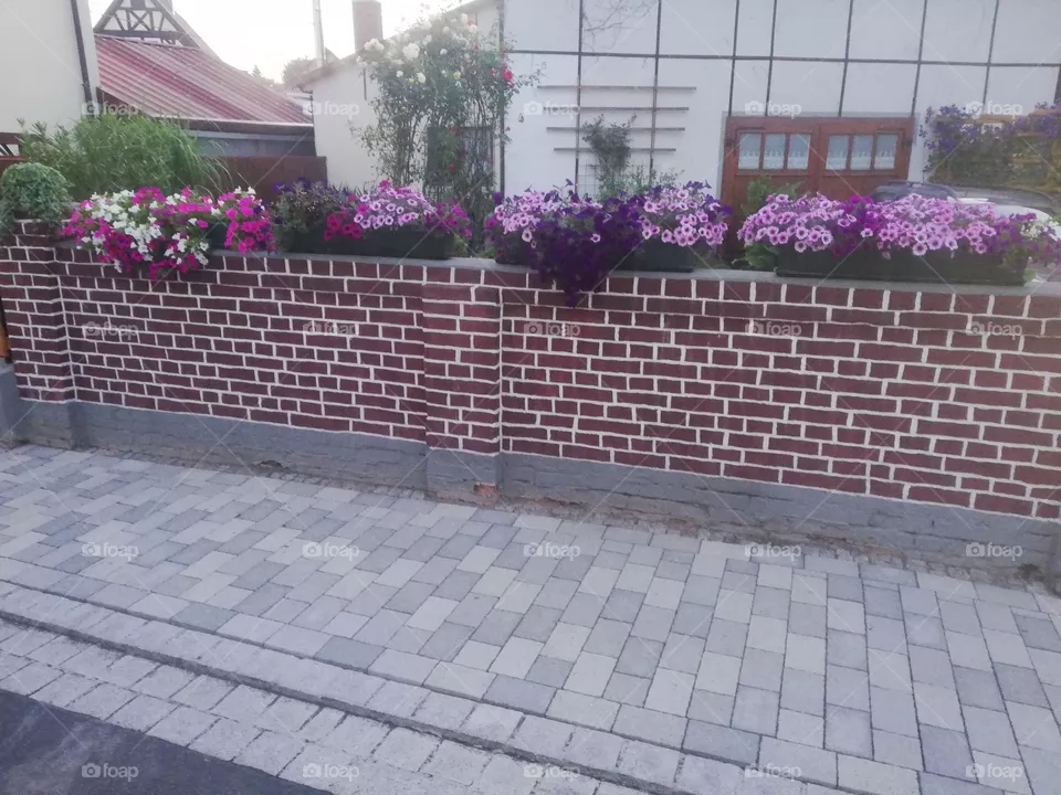 Blumen