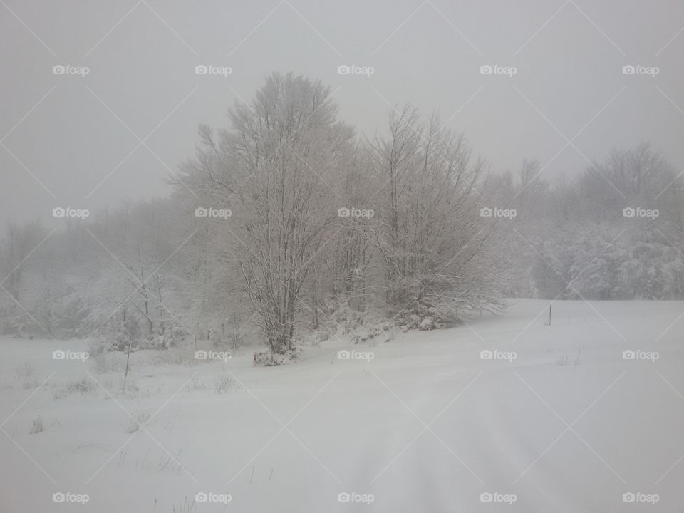 winter time mountain with snow. winter time mountain with snow