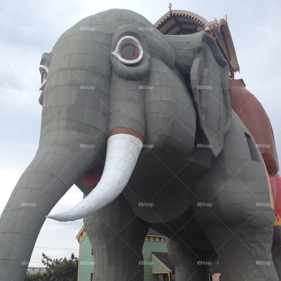 Lucy the elephant
